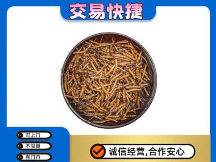 池州回收散虫草